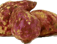 BATATA FRESCA - BONIATO 5lbs.