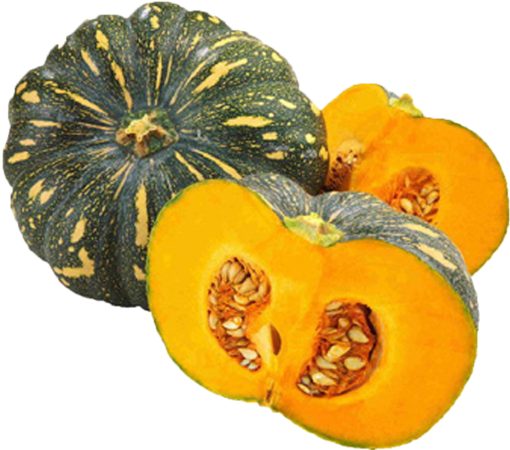 CALABAZA DE CASCO 5lbs.