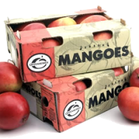 MANGO CAJA