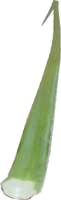 SAVILA LEAF 1 piece