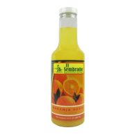 EL SEMBRADOR NARANJA AGRIA